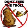 don_t_feed_the_troll.jpg