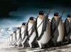 penguin army.jpg