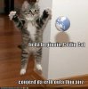 funny-pictures-ceiling-cat-conjures-the-earth.jpg