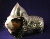 Lucky-The-Guinea-Pigs-Suit-of-Armor.jpg