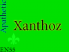 Xanthoz Profile Pic 11-17.png