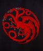 House_Targaryen_banner.png