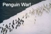 penguin-war.jpg